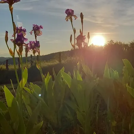 La Croix Des Landes Ou D'hote Avec Piscine A Chouvigny